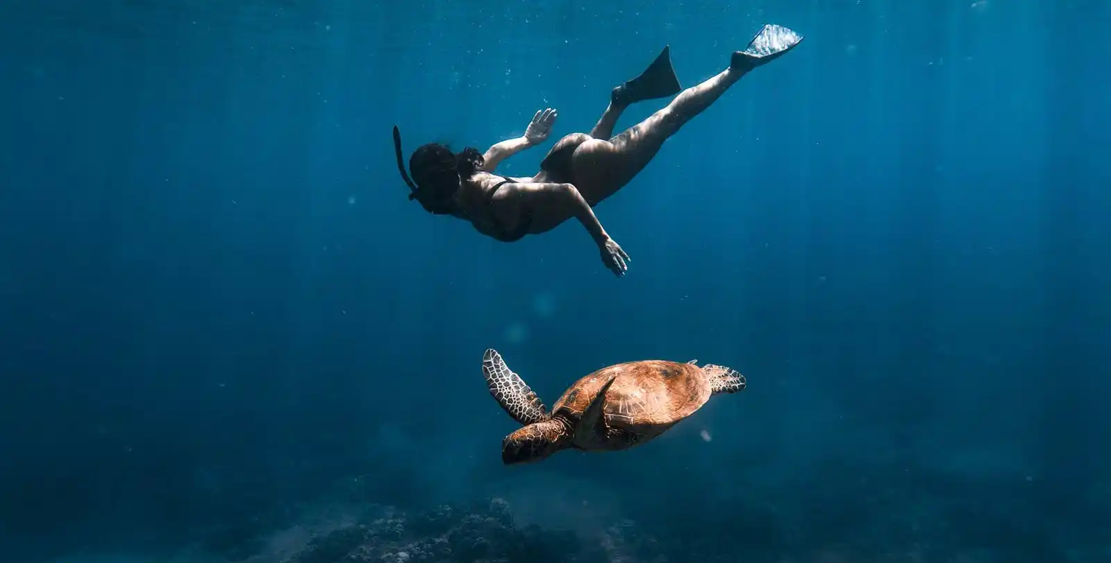 A woman free-diving in deep blue water above a swimming sea turtle.
