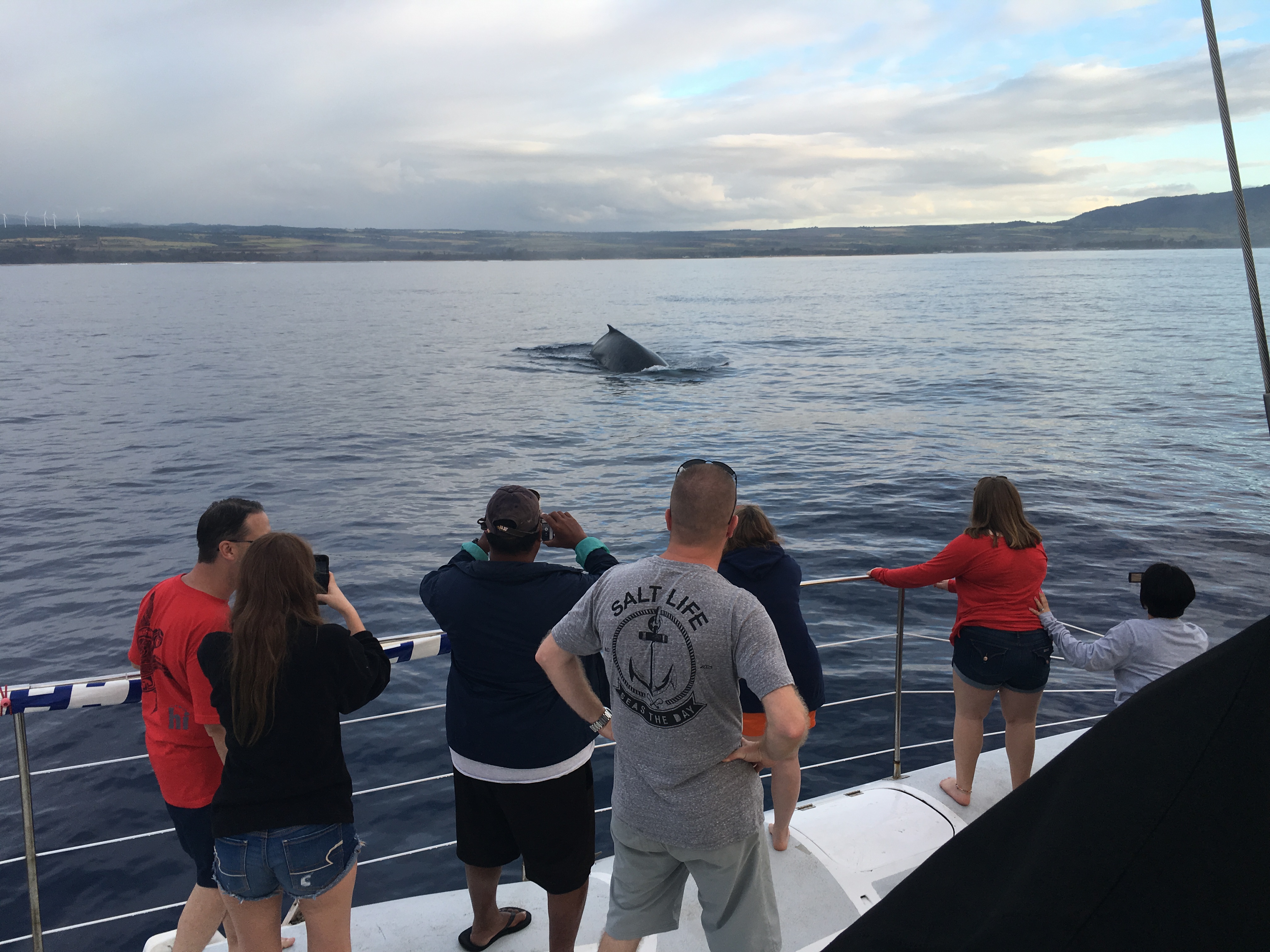 A group of people on a boat watch a whale breaching the surface of the ocean.