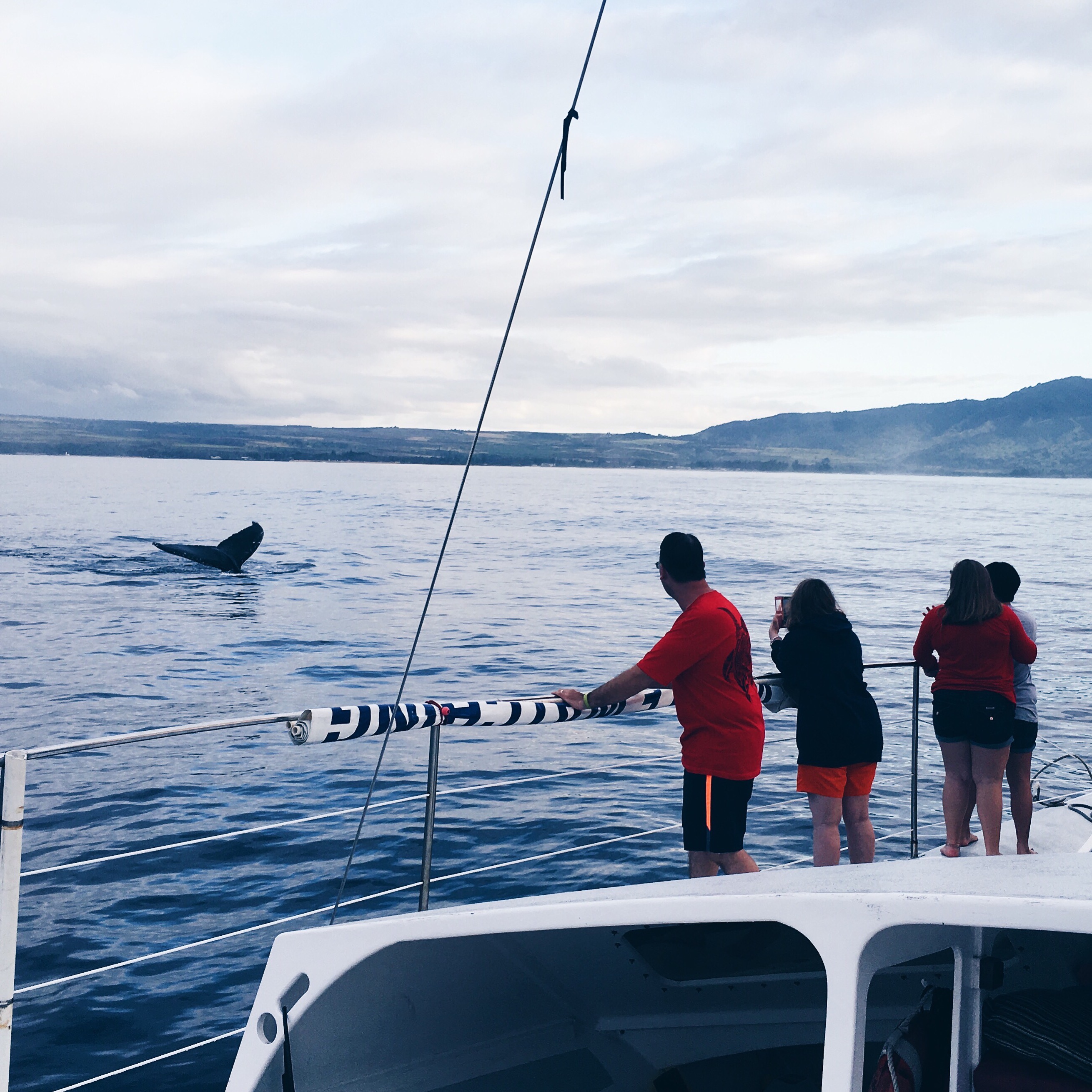 People on a boat watch a whale's fluke breach the calm blue water against a backdrop of distant mountains.